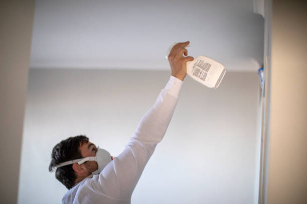 Best Mold Testing  in East Bakersfield, CA