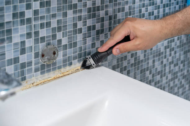 Best Certified Mold Removal  in East Bakersfield, CA