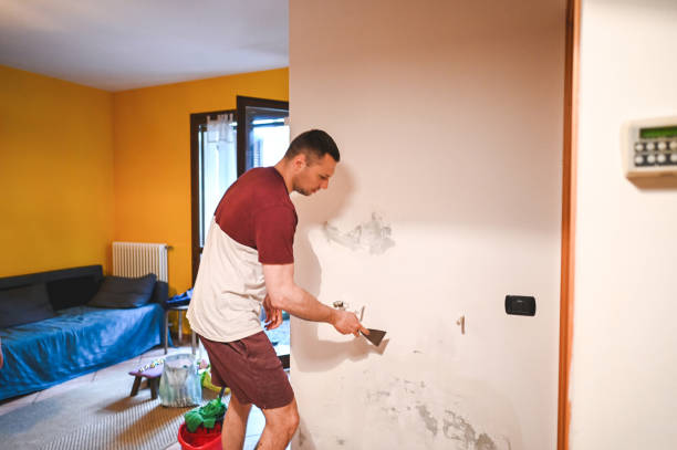  East Bakersfield, CA Mold Removal Pros